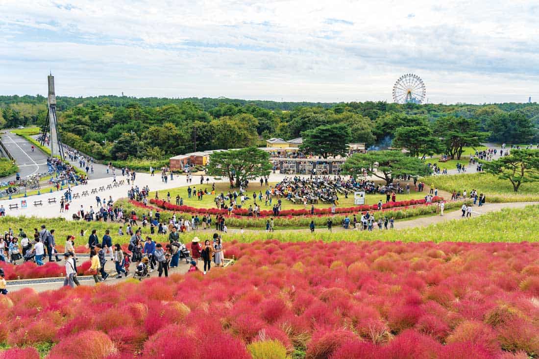 Парк Хитачи в Японии