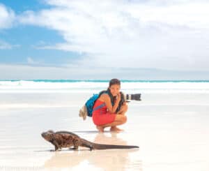 Галапагосский пляж с игуаной