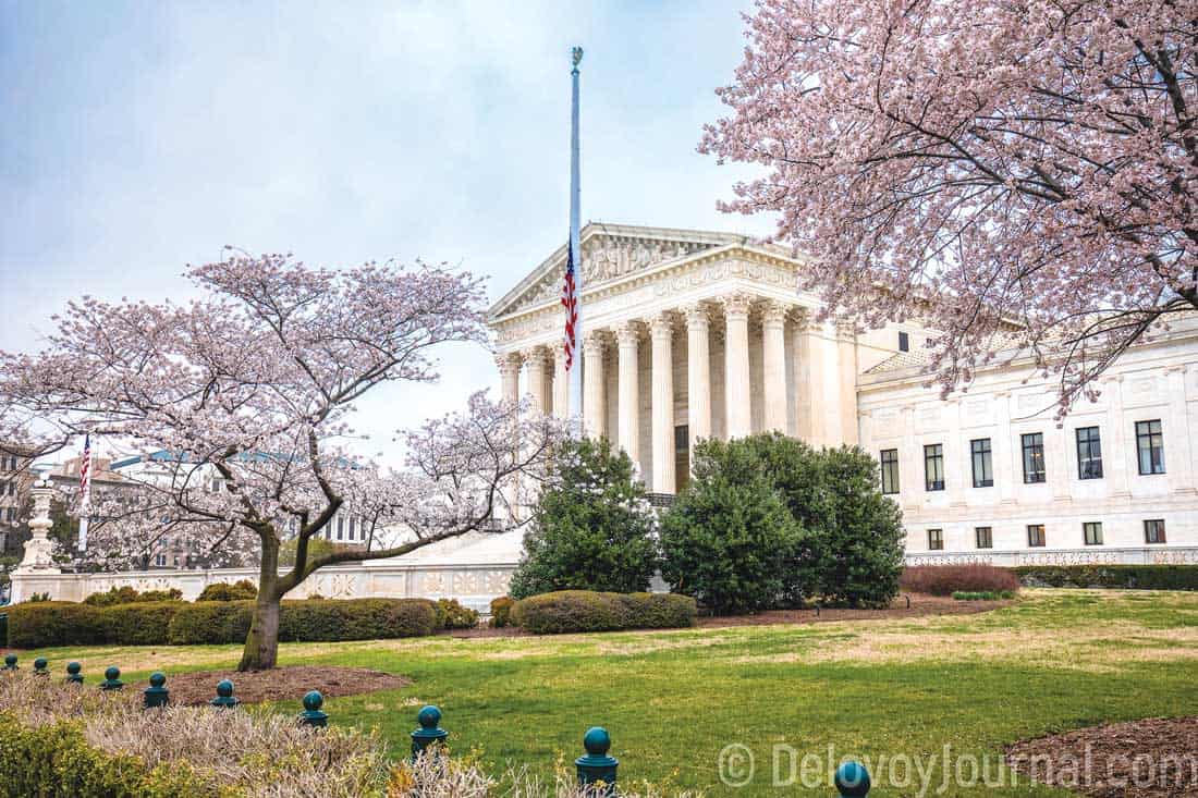 Washington D.C. весной: город власти в розовых тонах - Деловой Журнал